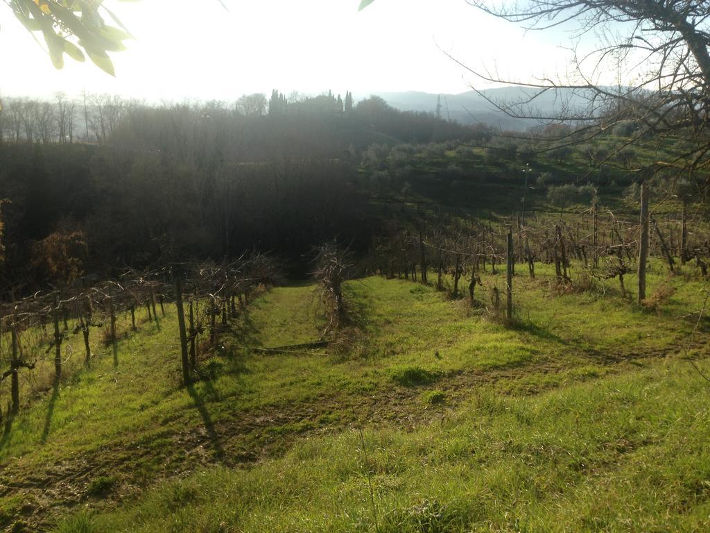 Podere San Lorenzo Terranuova Bracciolini Exterior foto